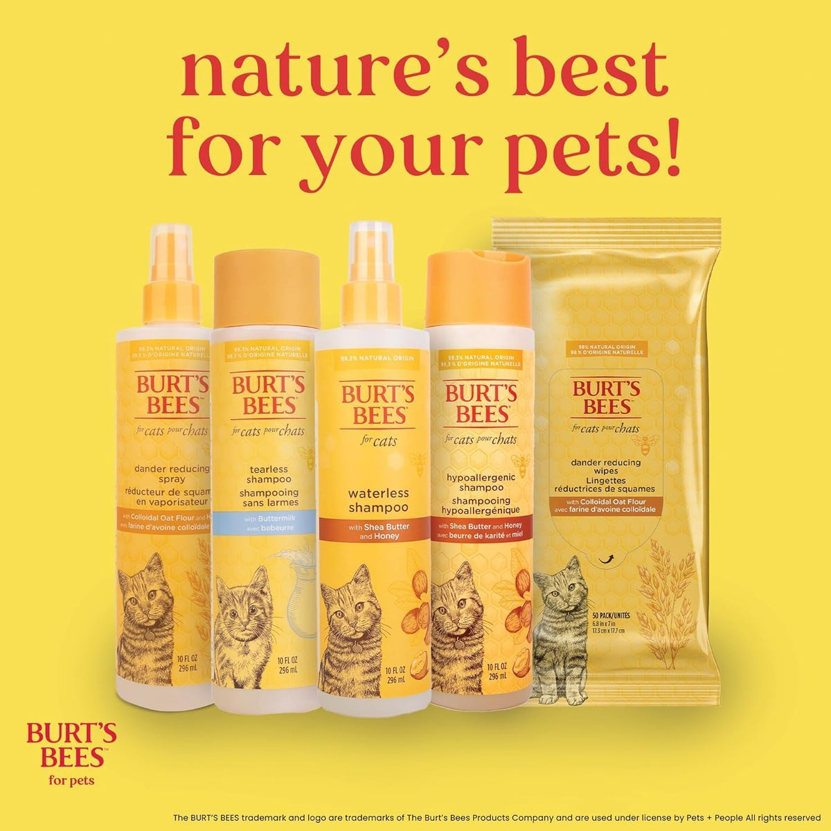 Hypoallergenic Cat Shampoo, Shea Butter, 10 Fl Oz