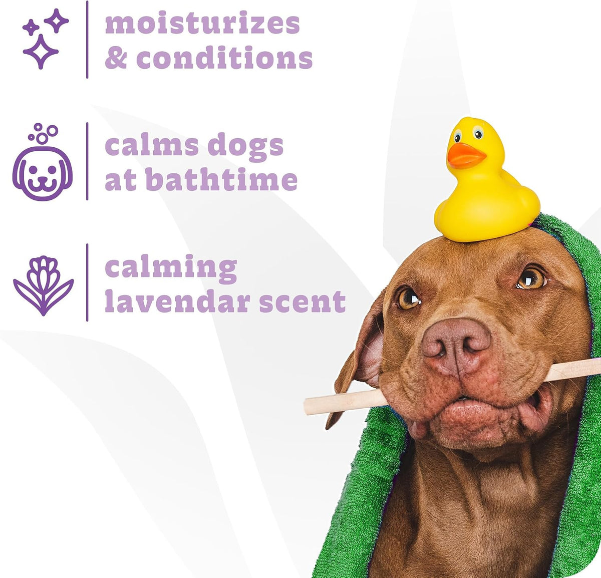 Calming Dog Shampoo & Conditioner, Soothing Dog Shampoo, Gallon