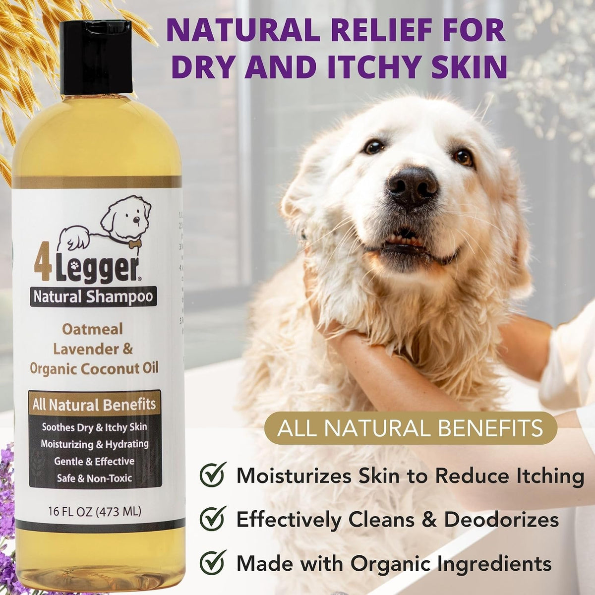 All Natural Organic Oatmeal Dog Shampoo for Itchy Skin with Aloe, Coconut & Lavender Essential Oil, Hypoallergenic, Moisturizing for Normal, Dry, Itchy, or Sensitive Skin, USA Made, 16 Oz