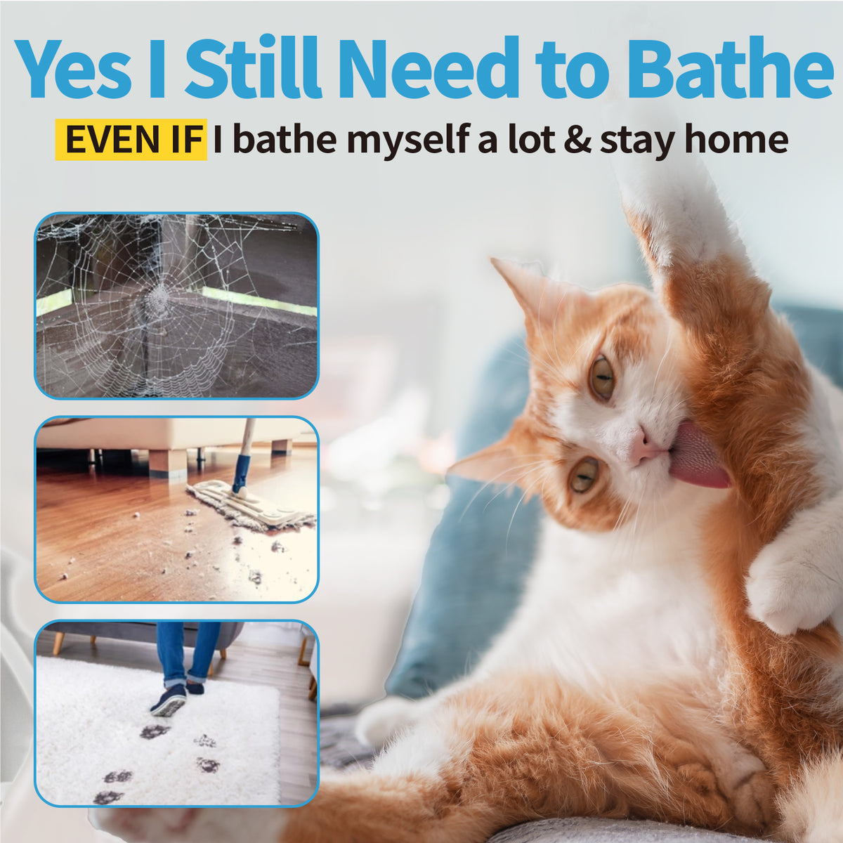 Waterless Cat Shampoo, No Rinse Foam for Kittens & Seniors, Licking Safe Dry Bath & Dander Reducer, 5 Oz