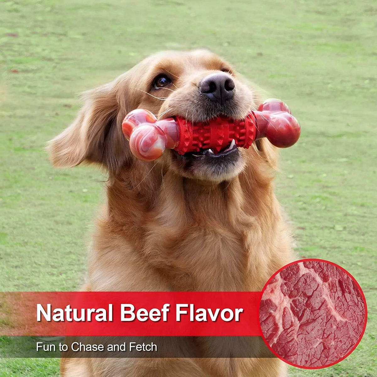 Dog Toys for Aggressive Chewers Bone Dog Toy Interactive Dog Toys for Large Dog Chew Toys for Aggressive Chewers,Dinosam Indestructible Dog Toy for Medium Large Dogs