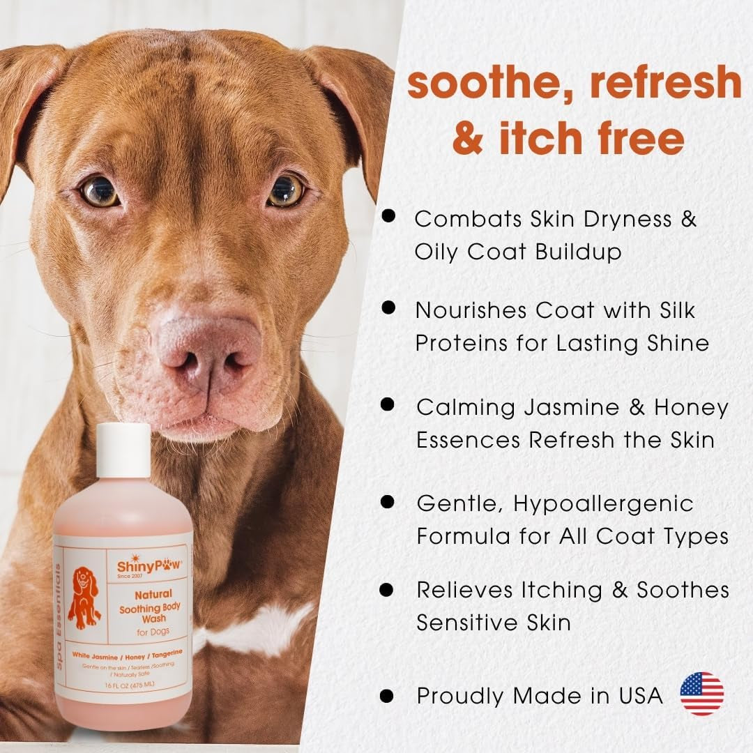 Jasmine & Honey Spa Body Wash for Dogs by Shiny Paw 16 Oz | Dog Itchy Skin Relief & Aging Coat | Hypoallergenic Dog Shampoo for Smelly Dogs | Made in USA