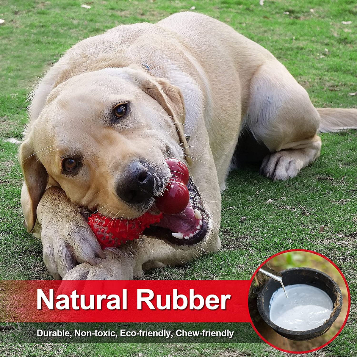 Dog Toys for Aggressive Chewers Bone Dog Toy Interactive Dog Toys for Large Dog Chew Toys for Aggressive Chewers,Dinosam Indestructible Dog Toy for Medium Large Dogs